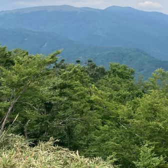 氷ノ山ですネ！