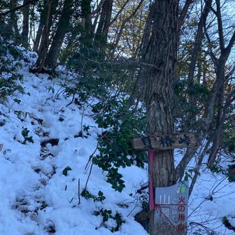 夏椿峠まで来ましたよ。