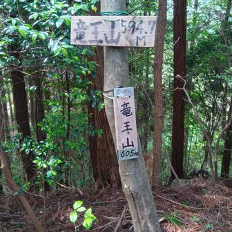 竜王山⛰️