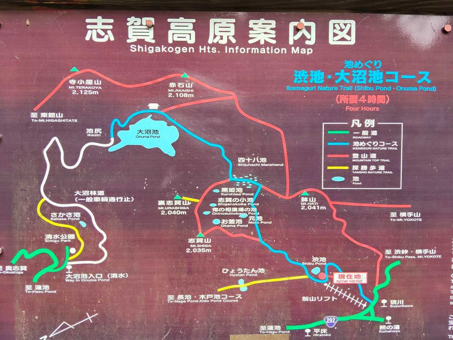 いろんなコースがありますね