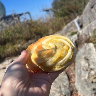 日陰で休憩
どっちが丸い？(*´꒳`*)

さつまいもパン美味しかった🍠