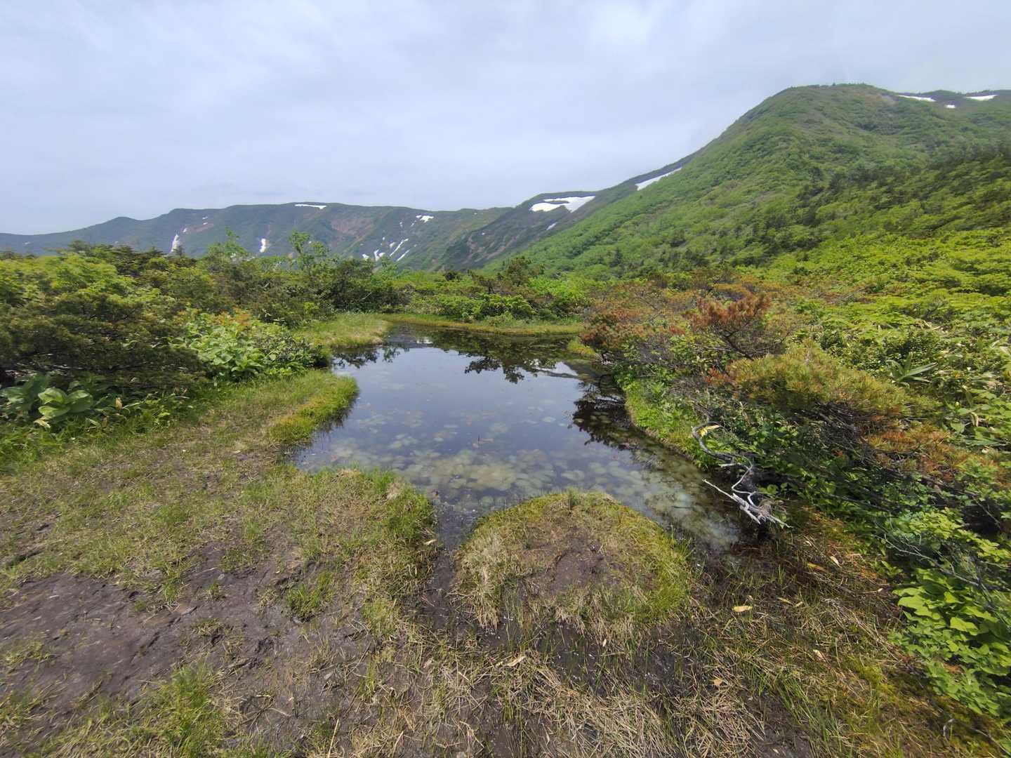 この池塘
苦手な人は中を覗いてはいけません
🐸の卵がたくさーん