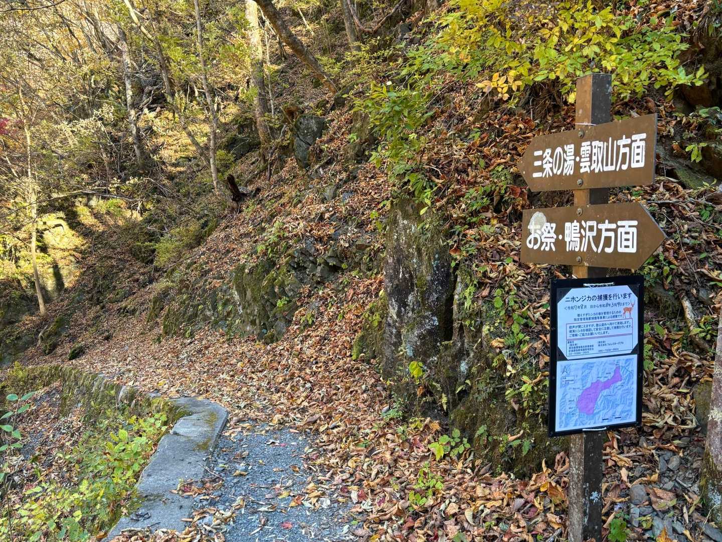 ここから登山道に入ります