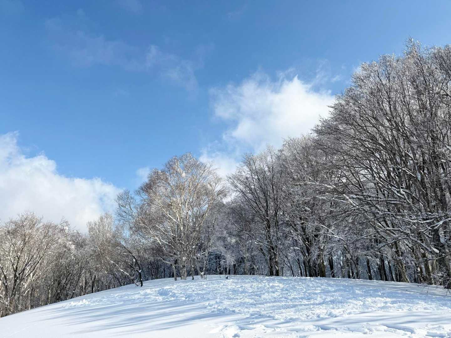 広めの山頂