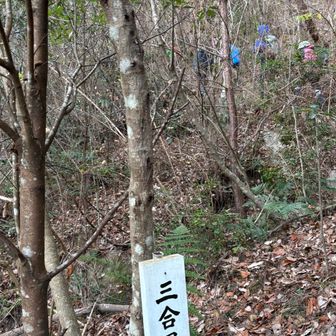 登り始めは冷たかったけど