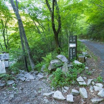 登山口