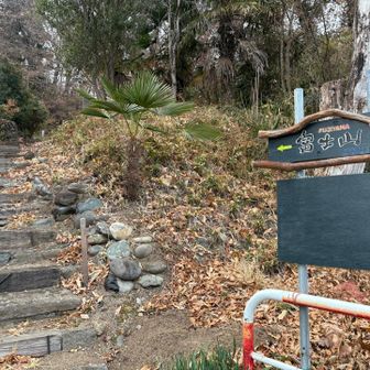 ふじやまでした。