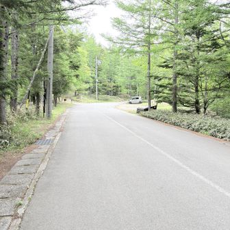 下山は最後でした！
車 変えました。前の車は10年25万キロ 2駆で雪山も頑張って行ってくれました。ほぼノートラブル。いろいろ思い出もたくさんありました。
今回の車は4駆にしました！またたくさんの思い出を作ろうと思います😊