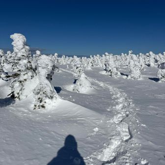 下山は自分のトレースがあるから心強い