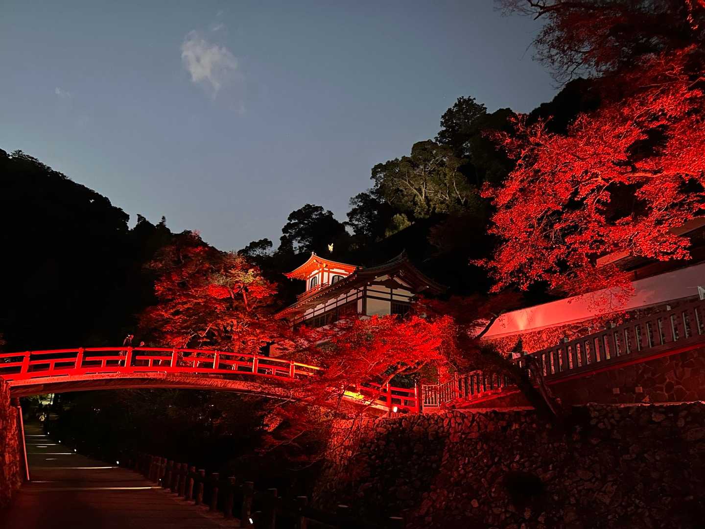 箕面大滝公園入口発着｜滝百選の名爆をめぐる往復コースの写真