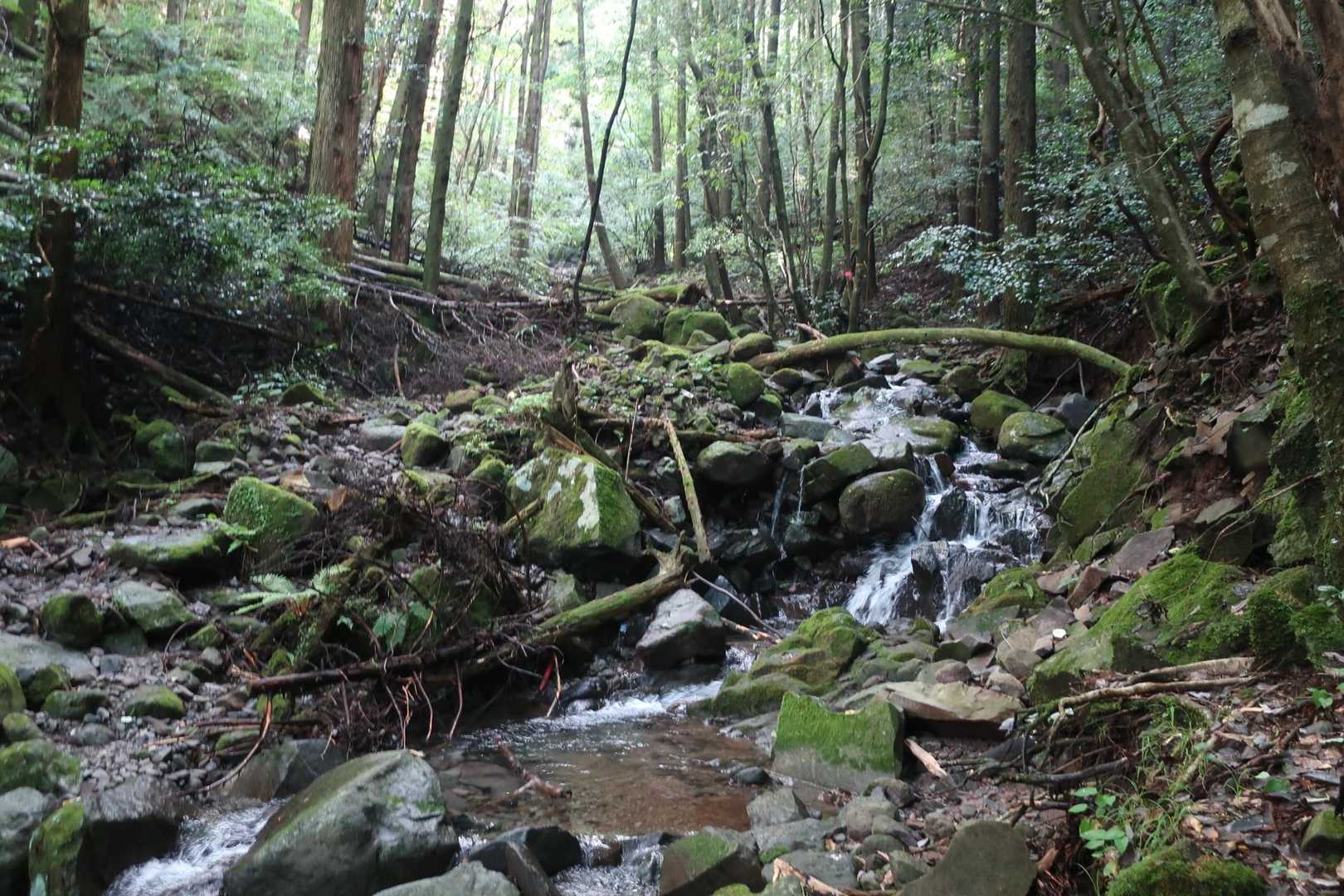 何度も川を渡りながら