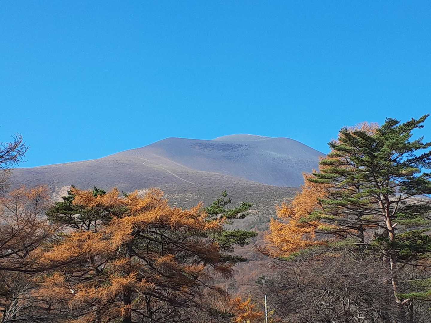 馬返し-小浅間山-小浅間山登山口 縦走コースの写真