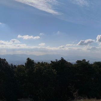 福岡タワー方面