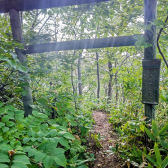 胎内巡りを下りで利用したけど、
上りの場合はこの鳥居がスタート地点

天国への入り口になるか、それとも地獄の始まりになるかは
貴方のお力次第