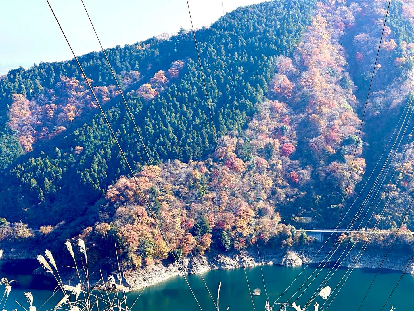 対岸アップ。半島の紅葉すごい。