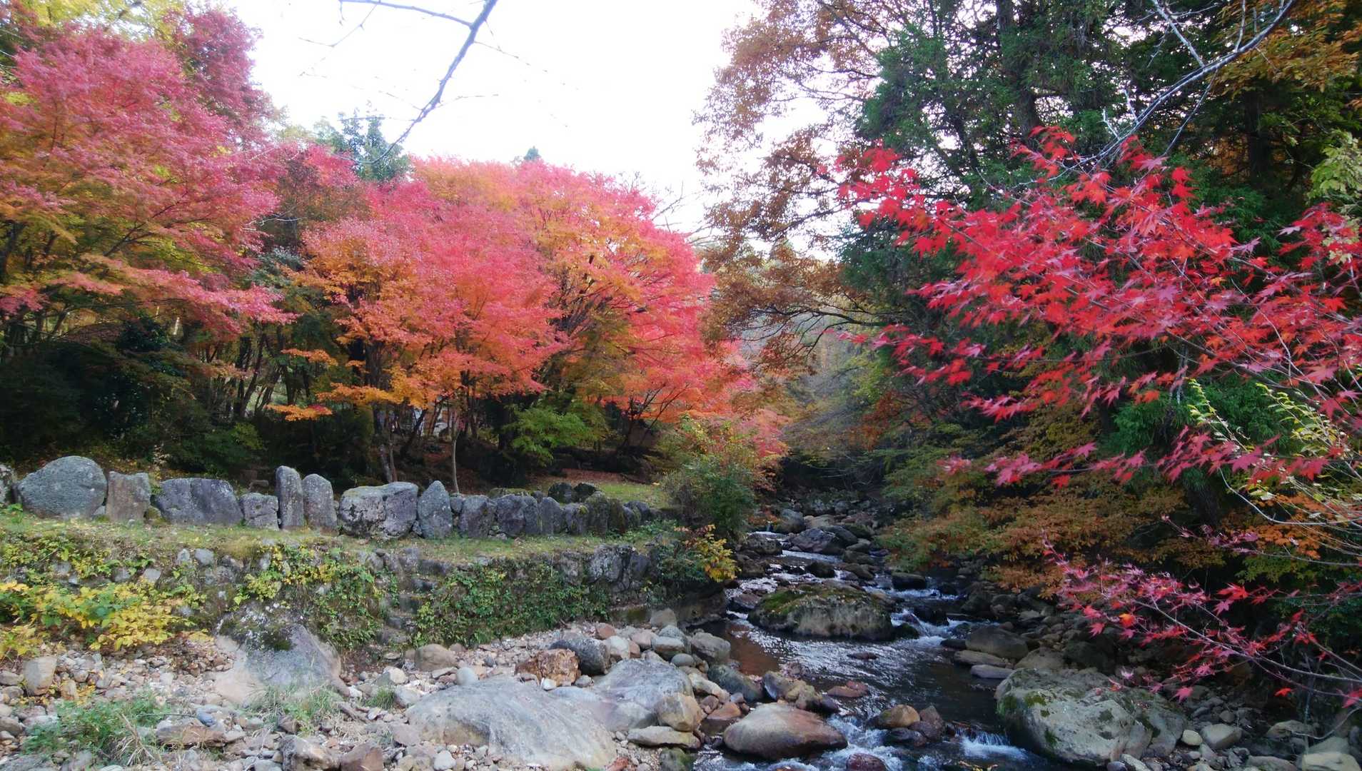 涌蓋山 往復コース（ひぜん湯）の写真