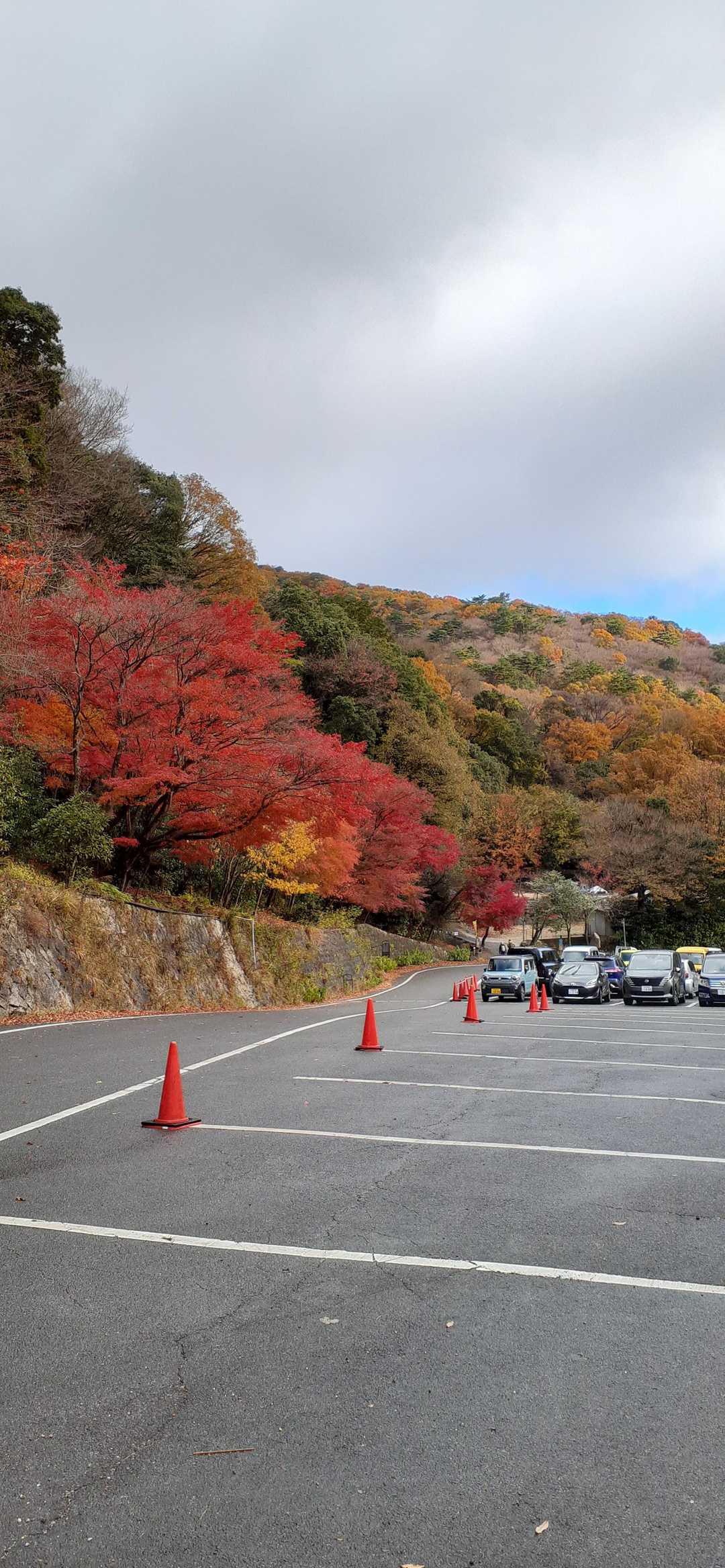 ゴール🚩🙌🚩達成感無し。自業自得。出直します。