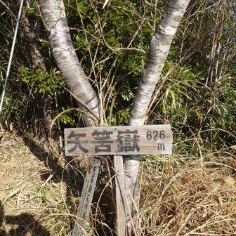 矢筈嶽ピーク６２６m✨