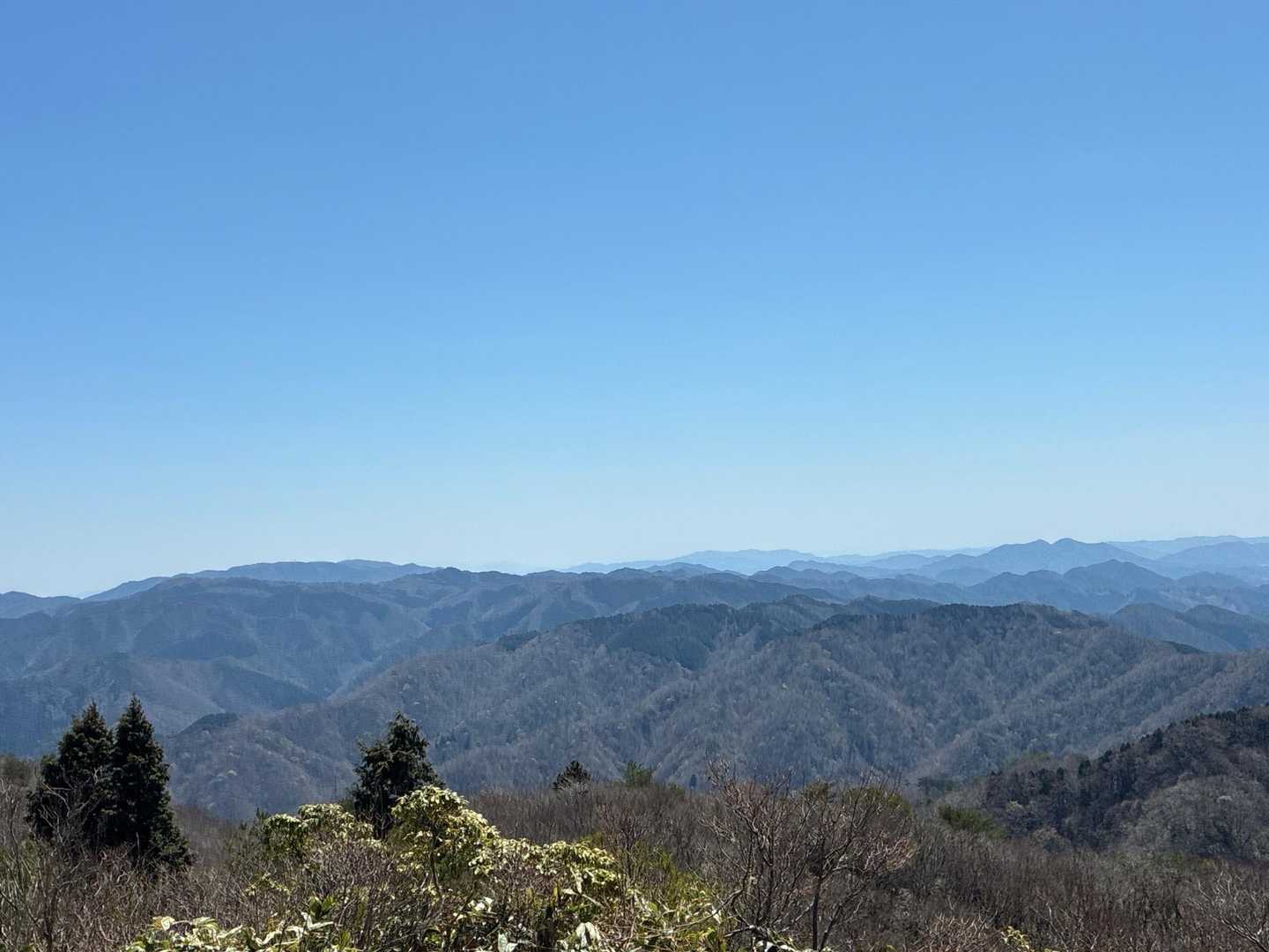 展望所から