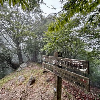 大持山 ⛰️🤙
🪾のことが気になっていたからか…
根っこで滑って滑落しかけました。危ない危ない😅