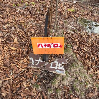 ハナグロ山フォントかっこいい🩷