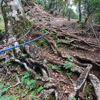意外と急登です