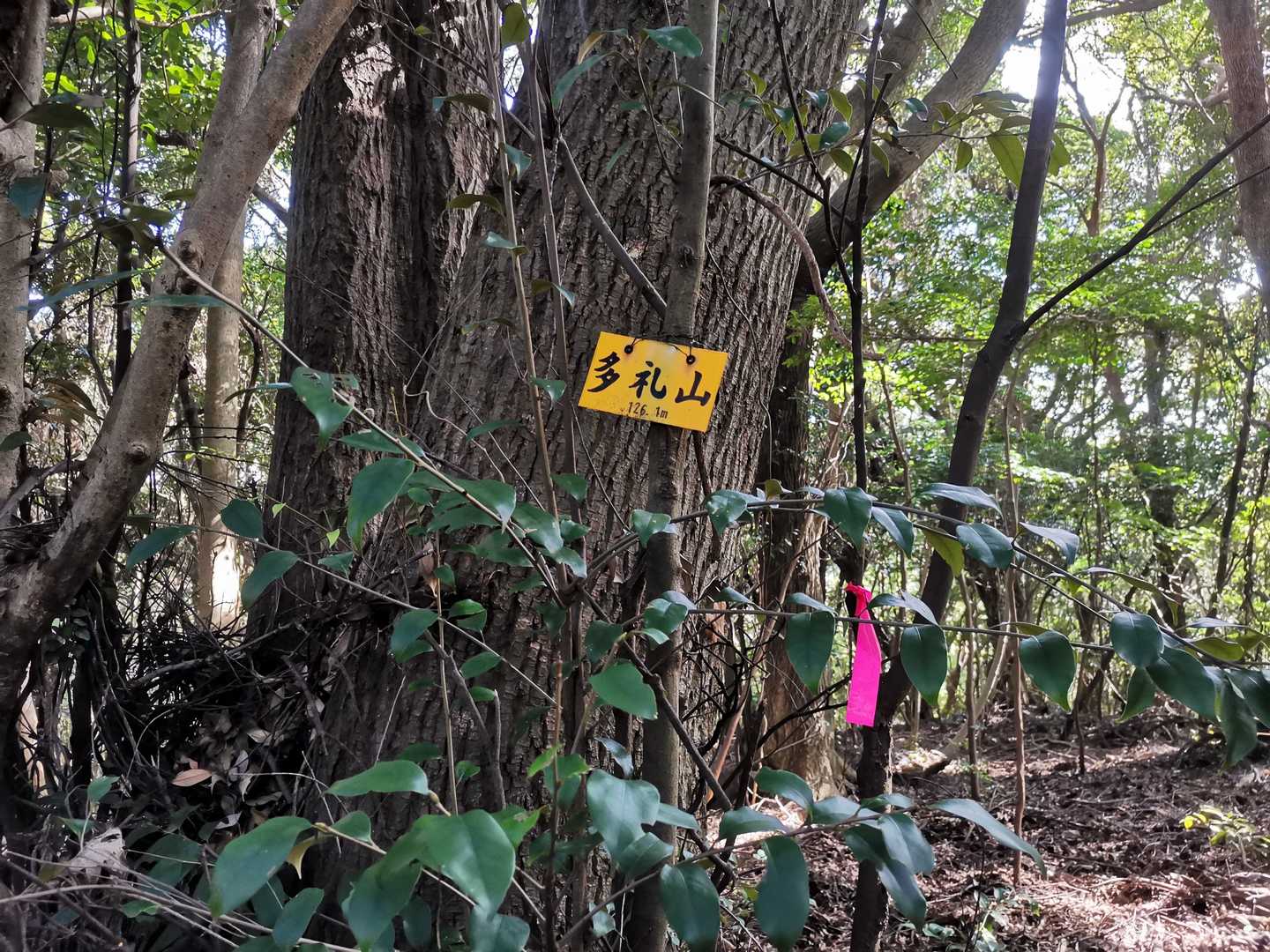 山頂標識