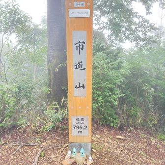 市道山登頂795.2m