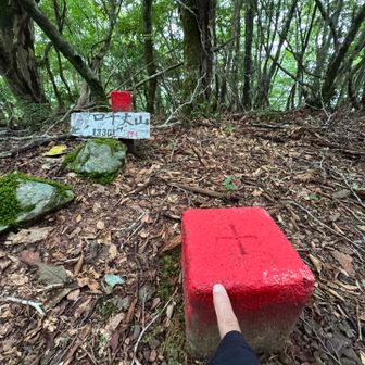 口千丈山にタッチ‼️