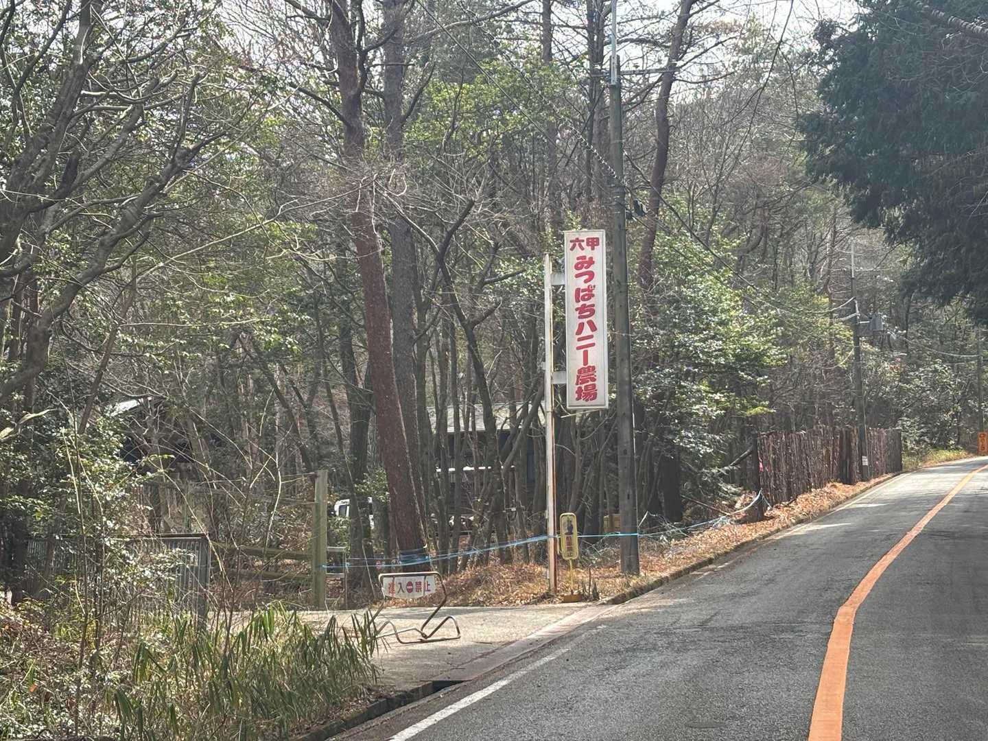 有名な？みつばちハニー牧場🍯の方へ道路を渡る