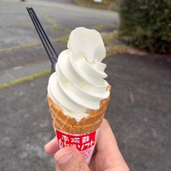 ご褒美のアイスクリーム食べました
