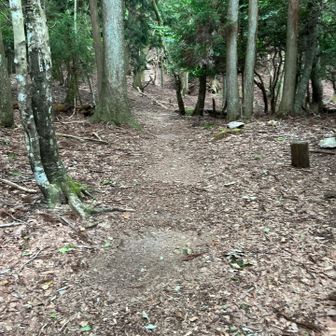 向こうの方に参道が見えて来ました