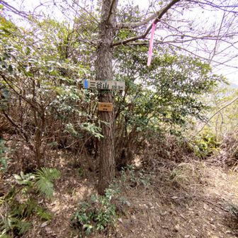 三谷山▲325mは眺望は少しだけ