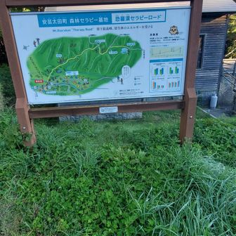 登山口、朝６度寒かった