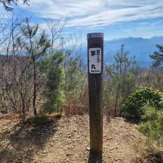 茅丸（1,019ｍ）
本日のコースの最高峰です。