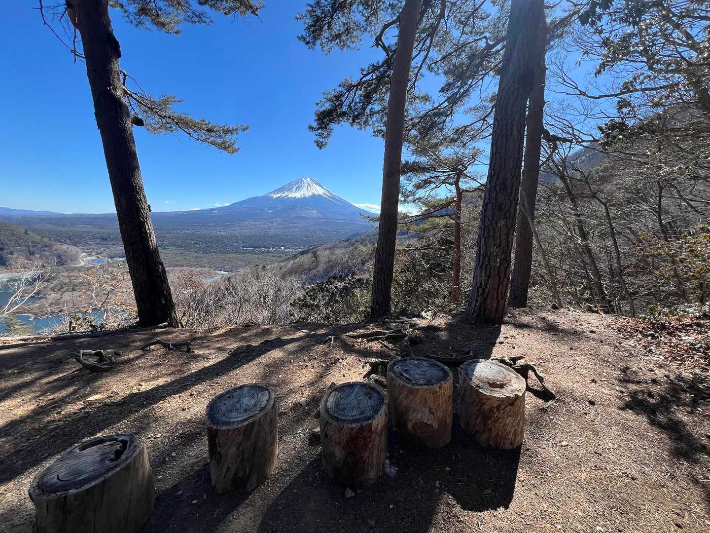 下山はパノラマ台ハイキングコース利用🥾
途中可愛らしい休憩所あり🛖