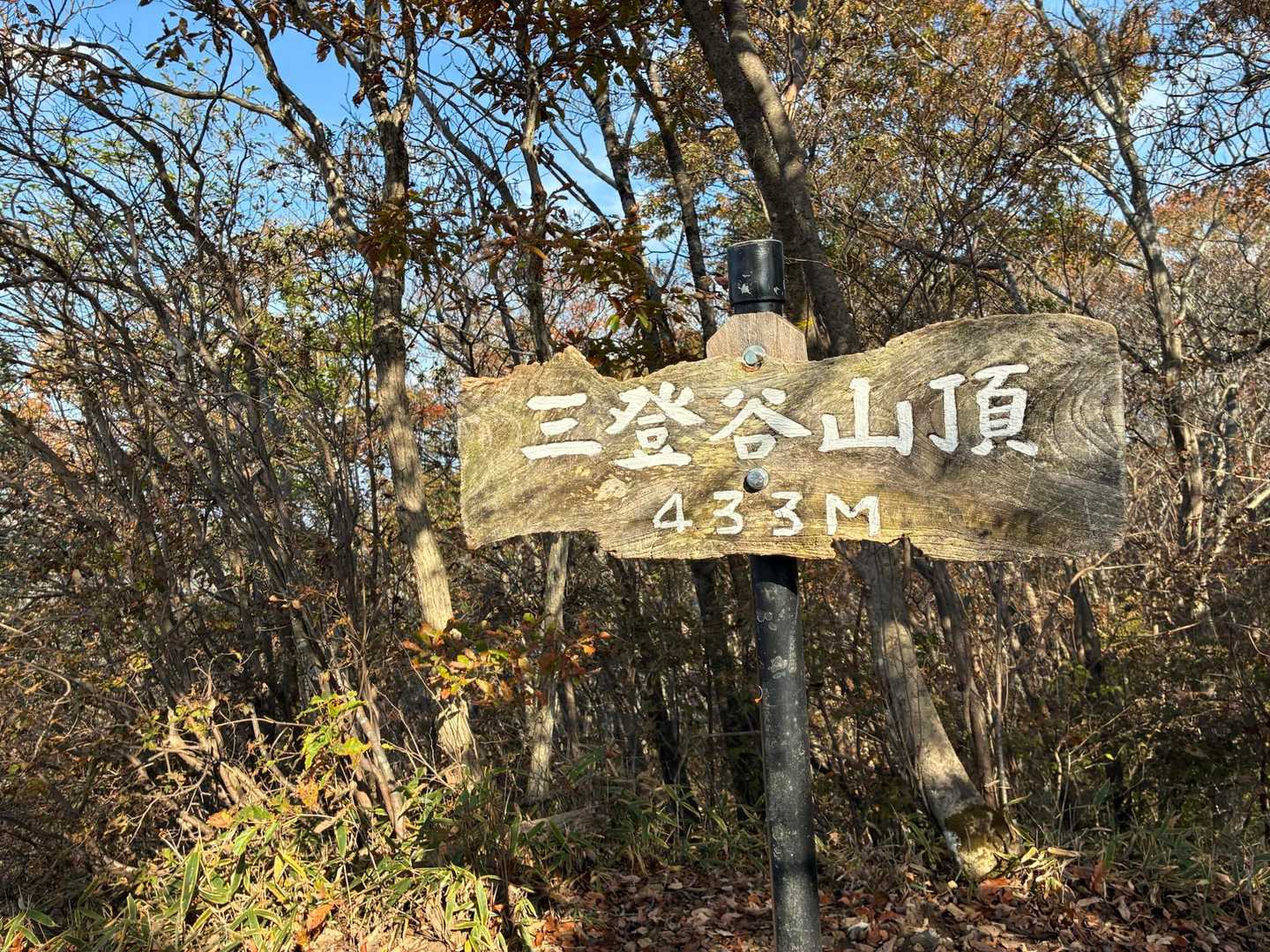 大川戸登山口-大川戸鉱泉跡-雨巻山-三登谷山 周回コースの写真