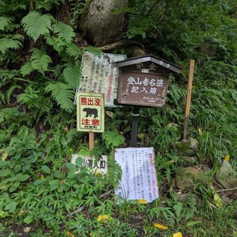 駐車場はここの前に2台　手前の林道の脇にも少しおけるところがあった
看板には今年は草刈りやっていない、登山道の点検・整備も未完了 自己責任で　と書かれている　虻の襲撃に加え不安を煽られる先制パンチ