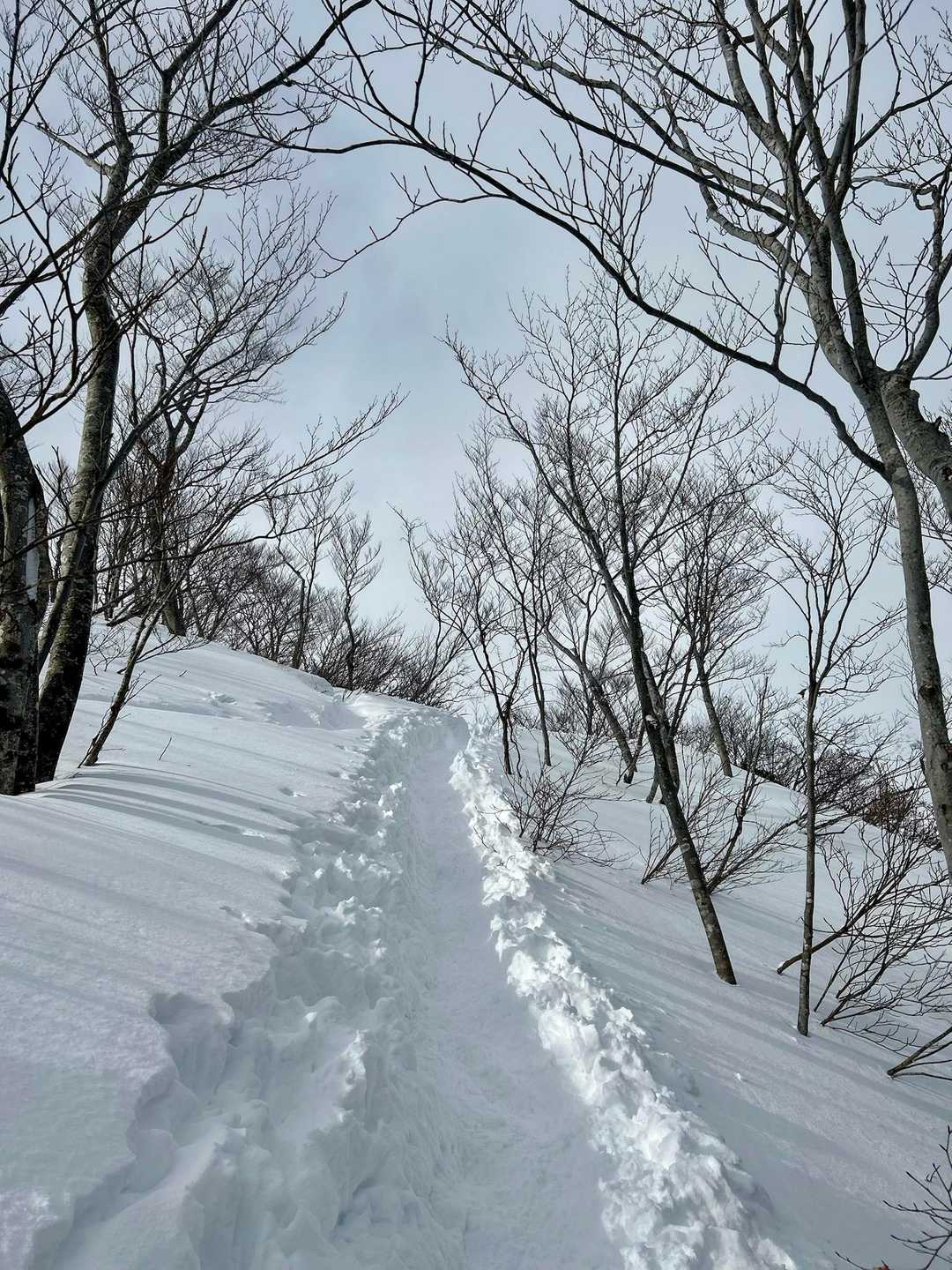 なんやら、標識もない
熊のなんちゃらって
Peakだけ取って

帰ろっか！笑