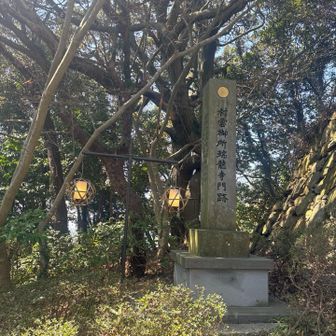 灯で、演出されてまーす