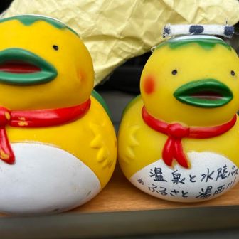 まっとし