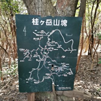 ものすごく詳しい地図あり