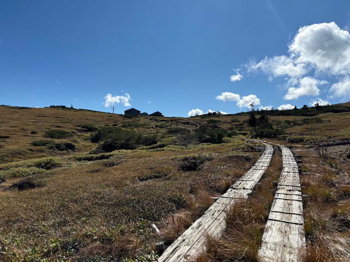 薬師岳登山口-アラスカ庭園-スイス庭園-日本庭園-三俣蓮華 縦走コースの写真