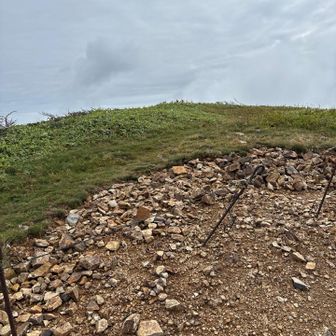 ここか？ここでいいのか？
巻機山山頂。