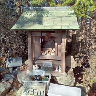 竜王山。眺望はありませんでした。