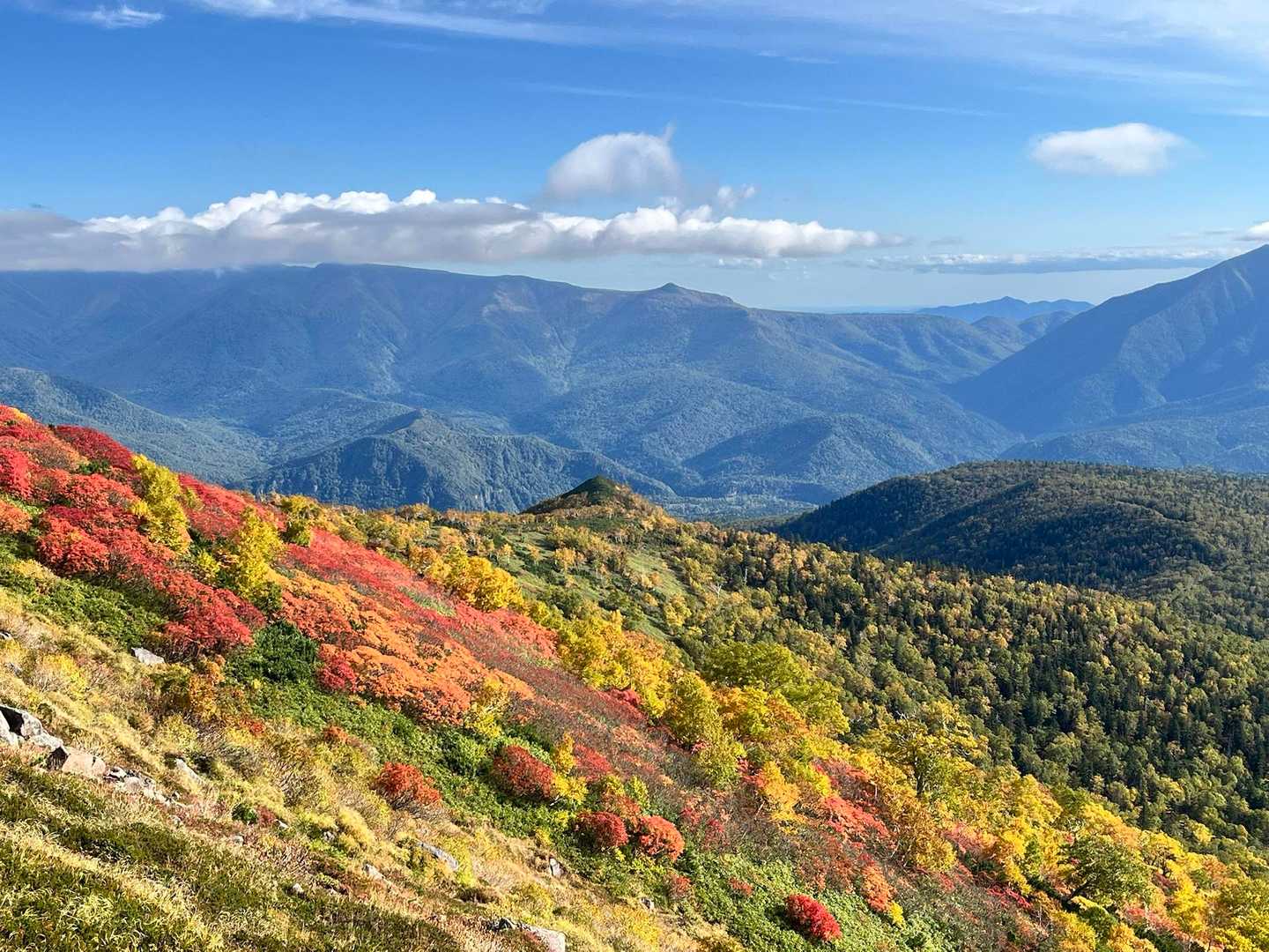 赤岳登山口-第一花園-赤岳 往復コースの写真
