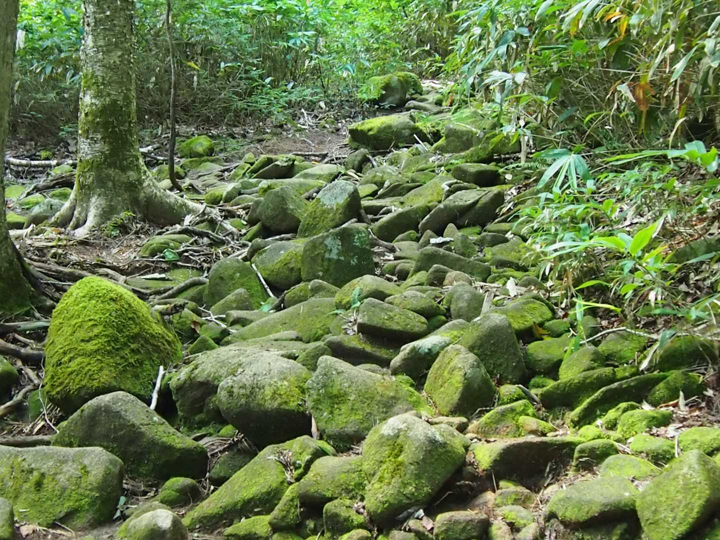 岩ゴロゴロゾーンの登り
