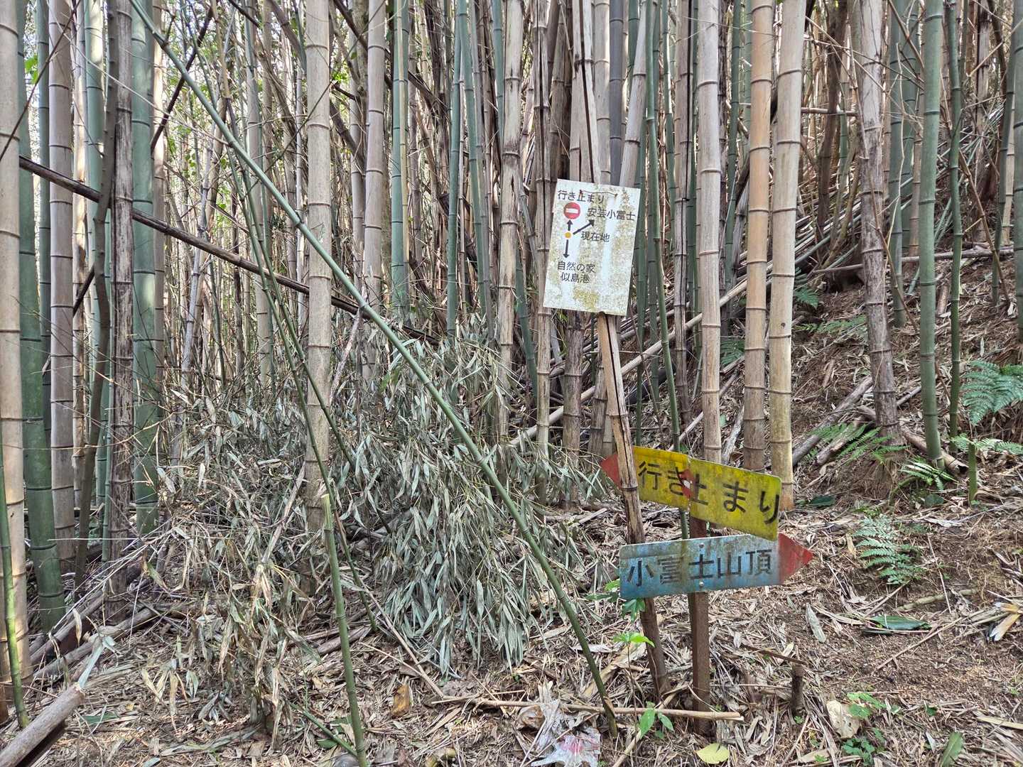 昔は通れたんかな？