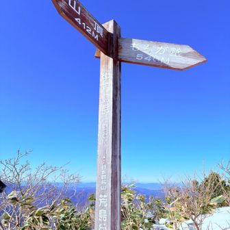 荒島ブルー最高です