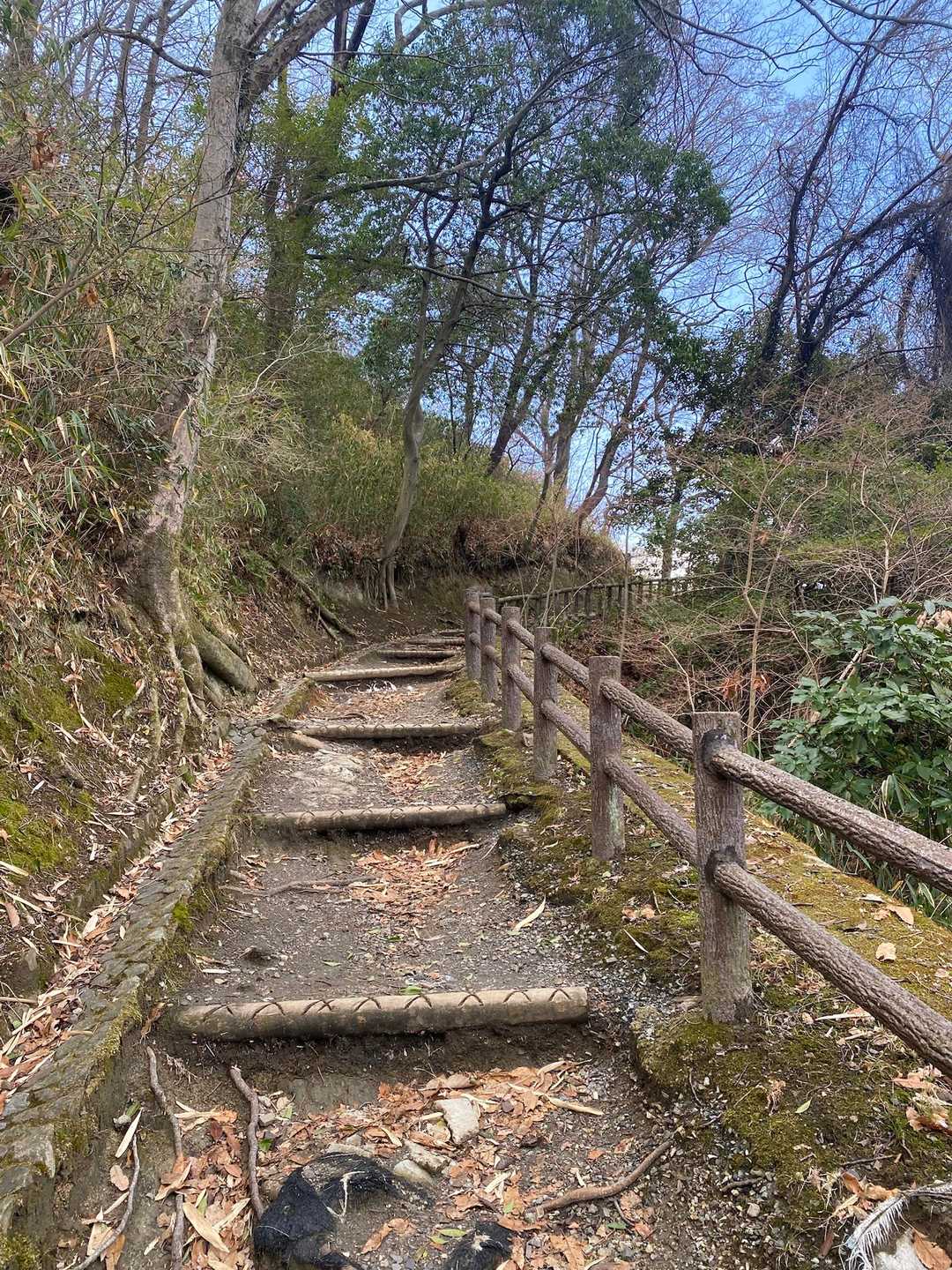 がんばって登るよー
でも、おっちゃんに抜かされた😅